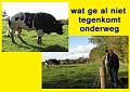 MG Herfstwandeling (44)